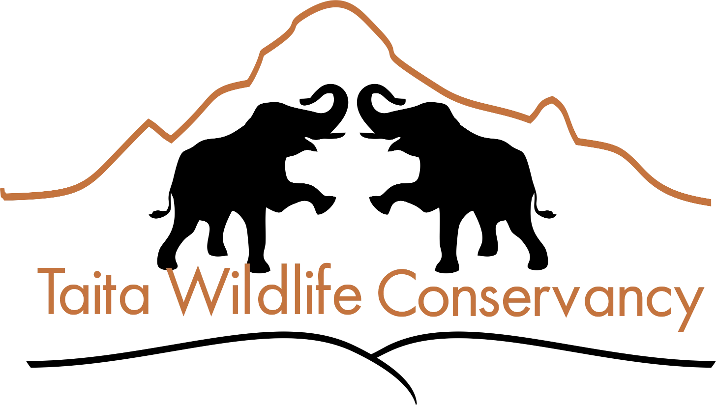 Taita Wildlife Conservancy